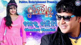 Chandaru Chandini  Odia Movie Song  Subha Bibaha  UditNarayan Ollywood [upl. by Omoj]