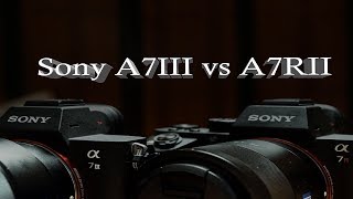 Sony A7III vs A7RII [upl. by Lauer]