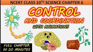 Control and Coordination with Animation Class 10 Science Chapter 6 NCERT CBSE Full chapter One shot [upl. by Alih]