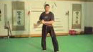 Tonfa Set Kenpo Tonfa Kata [upl. by Folberth219]