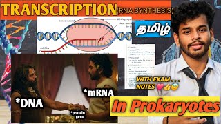 TranscriptionprokaryotestamilnotesRna synthesisprocessdiagramgene expressioncsir netDna [upl. by Sherourd]