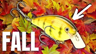 You Cant BEAT These 5 FALL Lures [upl. by Nickey838]