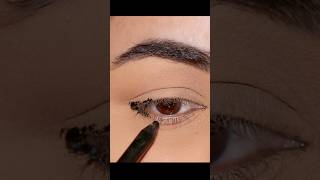 After This You Will Never Do a Regular Eyeliner on HOODED Eyes [upl. by Mullac]