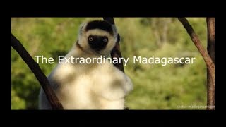 The Extraordinary Madagascar  Madagascar Travels and Tours 2023  2024 [upl. by Curt]