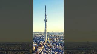 Skytree Tower Tokyo Japan travel japan tokyo shortvideo [upl. by Priscilla194]