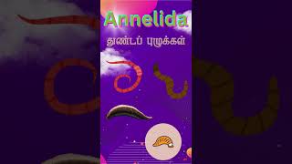 Annelida  quotEarthworms to Leeches Annelids in Actionquot  quotEarthworm Annelids in Your Gardenquot [upl. by Sivrad]