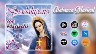 La Guadalupana canción  con mariachi [upl. by Mountford]