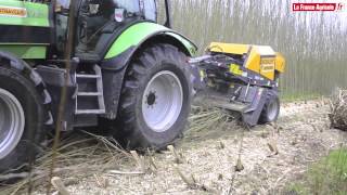 Presse à bois  pour conditionner les taillis à courte rotation en balles [upl. by Drogin]