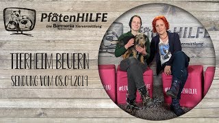 Pfotenhilfe  Die Barmenia Tiervermittlung zu Gast im Tierheim Beuern [upl. by Nhar]