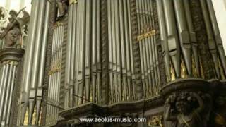 Widor  quotMattheusFinalquot from quotBachs Mementoquot played by Peter Van de Velde Antwerp Cathedral [upl. by Atikam859]