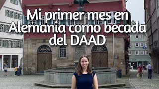 Mi primer mes en Alemania como becada del DAAD [upl. by Colin]