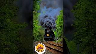 Wait for End  Steam Engine  Heavy Black Smoke railway travelwithtrain29 viralshorts [upl. by Emelina490]