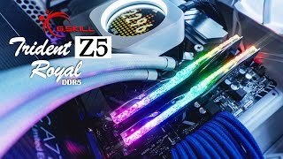 The Ultimate DDR5 Memory Upgrade  GSkill Trident Z5 Royal Unboxing and Review [upl. by Ainatnas]