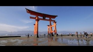 Scenery of Miyajima Hatsukaichi city Hiroshima Japan 宮島をゆく [upl. by Marge42]