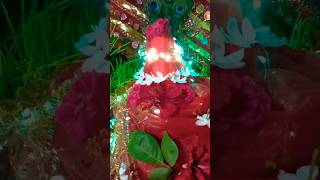 Dharti Pe Paw Jaise Dhaili Mayariya 💃🕉️🚩navratri vaishnodevi durgapuja [upl. by Ebner681]