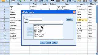 Spearman Correlation  SPSS part 1 [upl. by Adiraf]