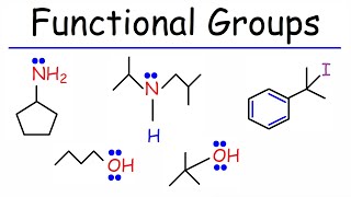 Functional Groups  Primary Secondary Tertiary  Alcohols Amines amp Alkyl Halides [upl. by Mcwilliams787]