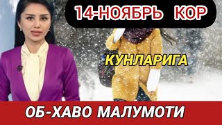 ОБ ХАВО 14НОЯБРЬ КОР 17° СОВУК ОГОХ БУЛИНГ КИШ КЕЛДИ КОР ob havo [upl. by Fesuy]