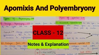 Apomixis and polyembryony class 12 Sexual reproduction in flowering plants  Apomixis and its types [upl. by Maximilien]