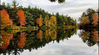 New England Fall Foliage Aerial View  4K Ultra HD [upl. by Olihs]