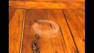 Really works Remove water stains in wood with a hair dryer [upl. by Kilroy588]