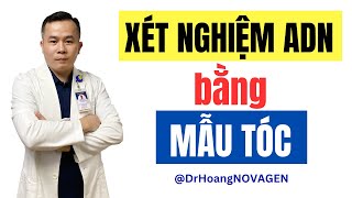 Hướng dẫn lấy mẫu Tóc xét nghiệm ADN huyết thống  Dr Hoàng NOVAGEN [upl. by Nagard]