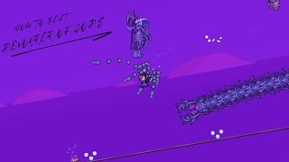 How to Beat Devourer of Gods DoG EASILY  Calamity Mod Melee Guide [upl. by Gage]