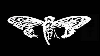 Cicada 3301 Explained  Part 4 2014 [upl. by Airekahs]