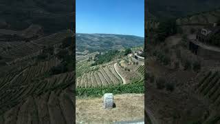 Things to do in Portugal Douro Valley Wine Tour douroriver porto travel porto portugal wine [upl. by Ajam]