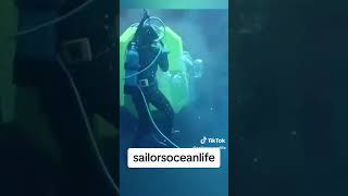 Sailorsceanlifeshortsyoutube mechanical all work [upl. by Pietrek463]