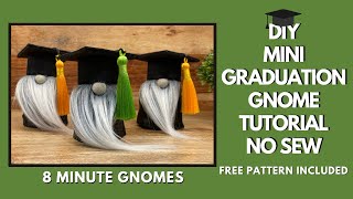 DIY Mini graduation gnome Tutorial  No Sew Gnomes  8 Minute Easy Sock Gnome [upl. by Nnayt743]