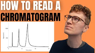 HOW TO READ A CHROMATOGRAM StepByStep Guide For Beginners [upl. by Ida356]