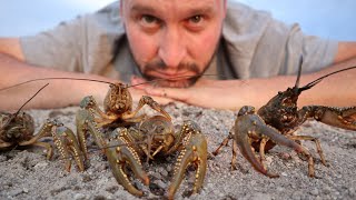 Crawdad Catch and Cook Idaho Crawfishing  DIY Crawfish Traps [upl. by Caroline]