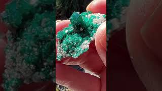 Dioptase crystals Reneville Kindanba District Pool Department Republic of Congo [upl. by Rolland846]