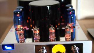 YAQIN MC 13S VALVE AMP [upl. by Desirea410]