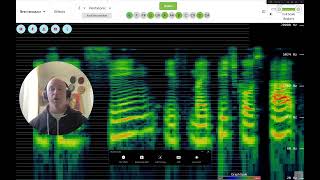 Spectrogram basics httpsspectrogramsciencemusicorg [upl. by Eatnwahs]