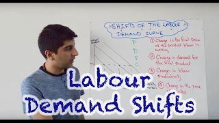 Labour Demand Curve Shifts [upl. by Lowis]