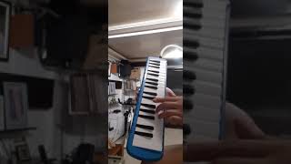 Luffy Eyecatcher Theme in Melodica OnePiece Melodica [upl. by Atled985]