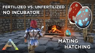 ARK Eggs Explained  Hatching  Mating  No Incubator  Survival Evolved [upl. by Retepnhoj]