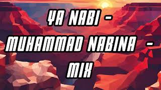 Ya Nabi  Muhammad Nabina  Mix Nasheed Naat  Slow and Reverb allah nasheed viral new [upl. by Einaffets]