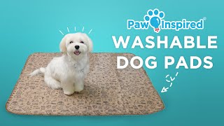 Washable Dog Pads  Paw Inspired® Pee Pad and Training Pad [upl. by Armitage]