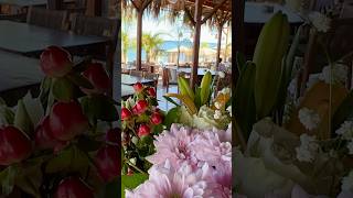 Aquarius beach bar🏖️🇬🇷falirakirhodesgreecemomentsgreekislandsautomobileyoutubeshortssummer [upl. by Novit]