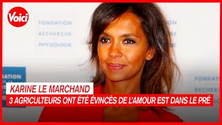 Karine Le Marchand révèle enfin pourquoi 3 agriculteurs ont été évincés de L’amour est dans le pré [upl. by Quita]