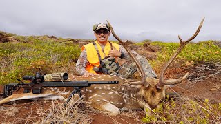 Lanai Stewardship Hunt 2023 Buck  Christensen Arms MPR 65 Creedmoor [upl. by Ahsenauq]