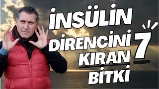 İNSÜLİN DİRENCİ NASIL KIRILIR İNSÜLİN DİRENCİNİ KIRAN YİYECEKLER AZALTAN BESİNLER 7 BİTKİSEL ÇÖZÜM [upl. by Yrak482]