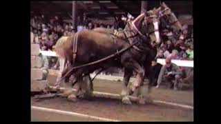 80s Family in Maine Fair Horse Pulls and Races [upl. by Mcgray]