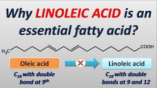 Why Linoleic acid is an essential fatty acid [upl. by Eerrehc870]