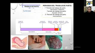 1er Curso sobre Mecanismo de Terapia de Parto [upl. by Niasuh]