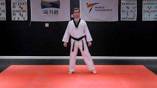 Juchum Seogi Straddle Stance [upl. by Callean]