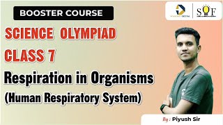 Science Olympiad Class 7  Respiration in Organisms  Human Respiratory System  SOF NSO 2024 [upl. by Hillier113]